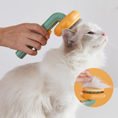 Unleash the Grooming Fun with the Pet Pumpkin Self Cleaning Slicker Grooming Brush Tool
