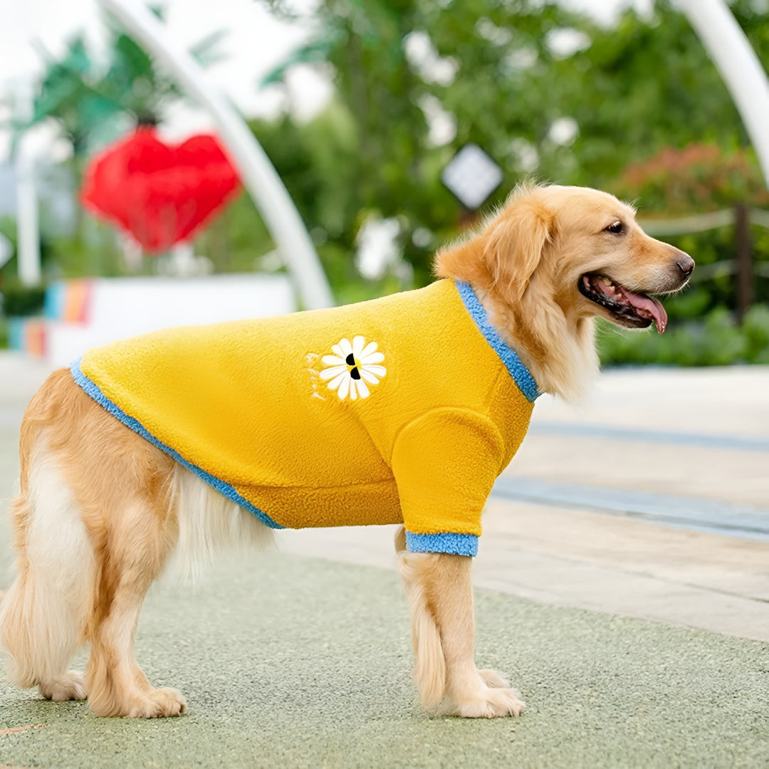 STYLISH AND COMFORTABLE PET CLOTHES
