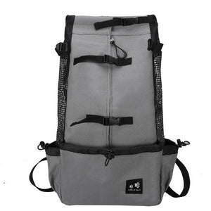 The Ultimate Travel Companion for Your Pet