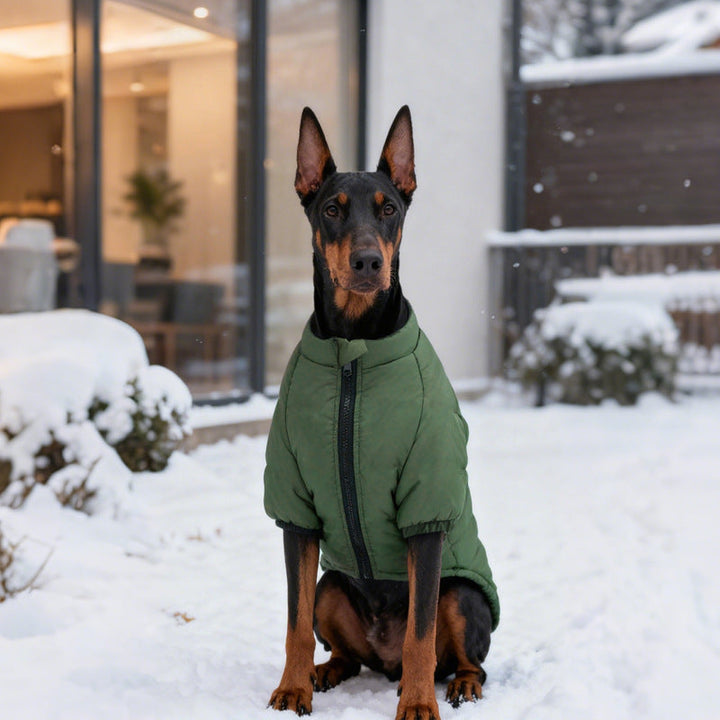 Keep Your Pooch Warm: The Cotton Pet Two Leg Warm Jacket Outfit