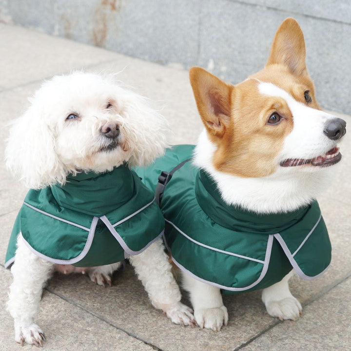 Keep Your Furry Friend Warm with Our Outdoor Protective Jacket Coat