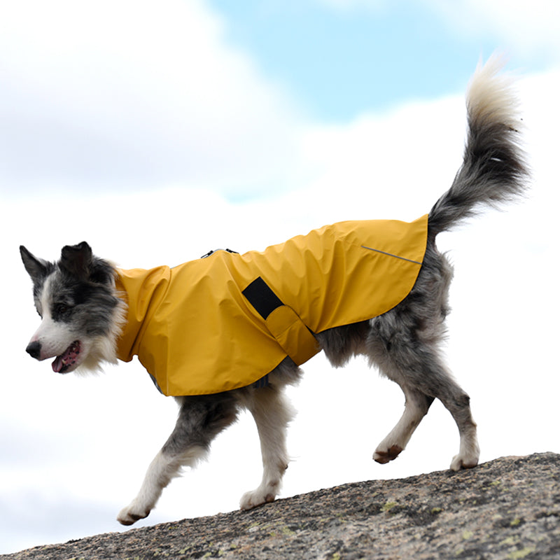 Why Your Pet Needs the Waterproof Windproof Shell Raincoat