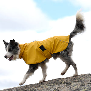Why Your Pet Needs the Waterproof Windproof Shell Raincoat
