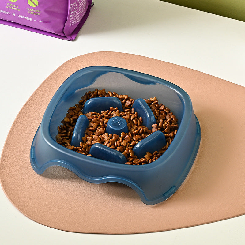 Anti Choking Slow Feeding Water Bowl Pet Dish