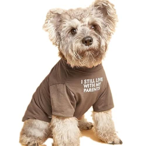 Round Neck Pet T Shirt Casual Wear Top