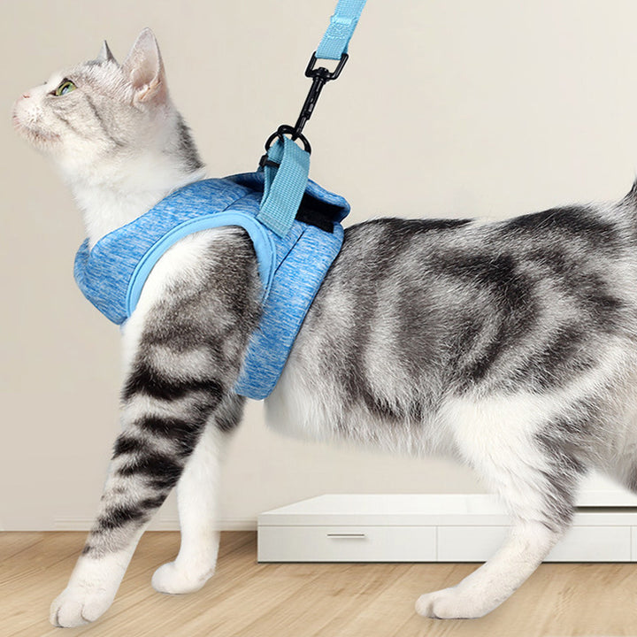 Breathable Lightweight Pet Chest Strap Lace Leash System