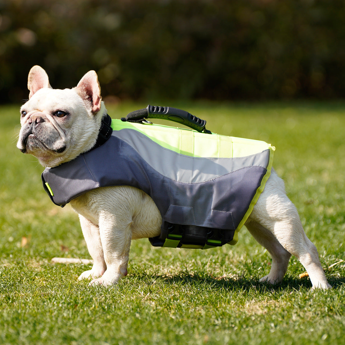 Reflective Life Safety Swimming Pet Jacket