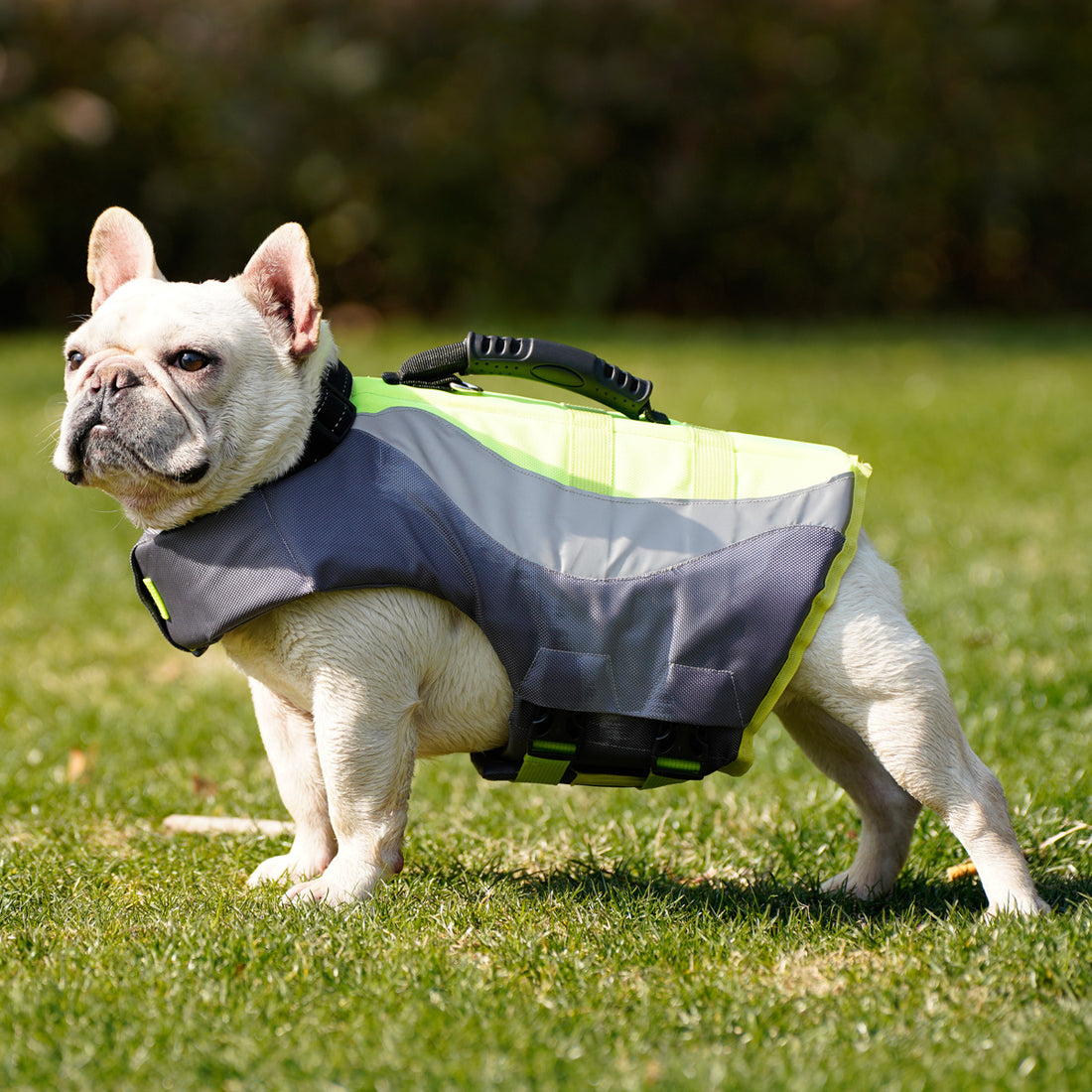 Reflective Life Safety Swimming Pet Jacket