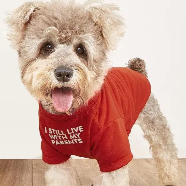 Round Neck Pet T Shirt Casual Wear Top