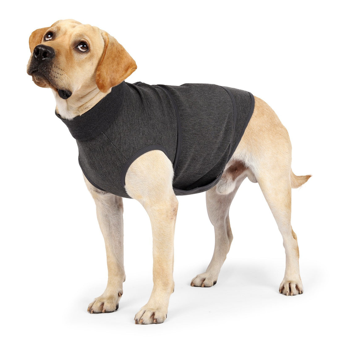 Polyester Cotton Double Layer Comfort Pet Jacket