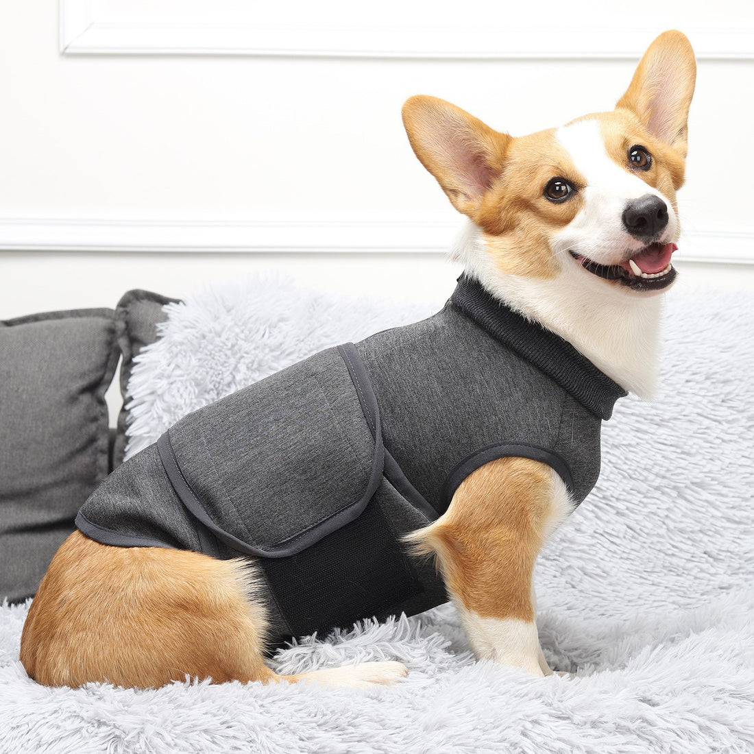 Polyester Cotton Double Layer Comfort Pet Jacket