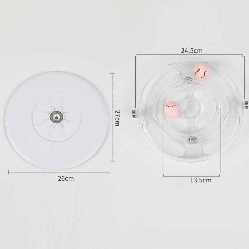 Educational Turntable Interactive Pet Toy