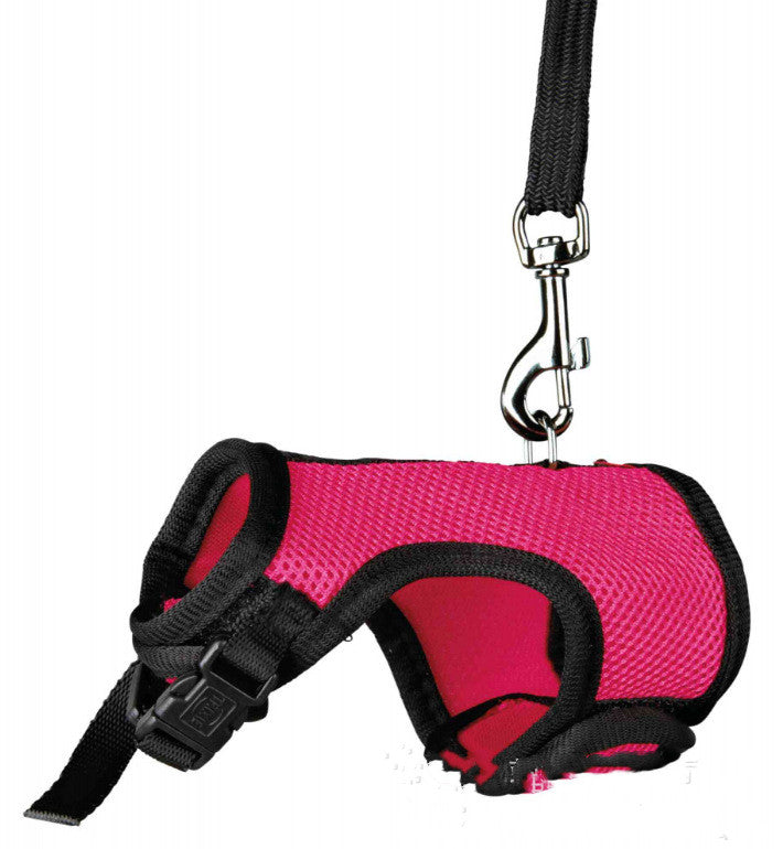 Adjustable Small Pet Leash Control Rope Lead