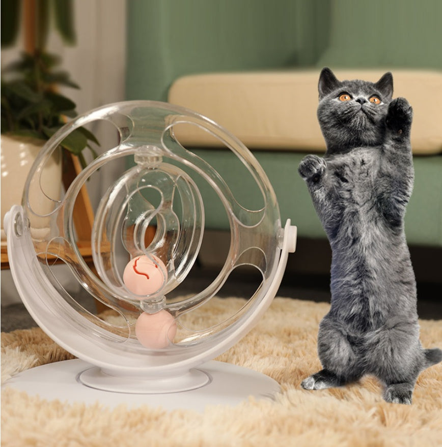 Educational Turntable Interactive Pet Toy