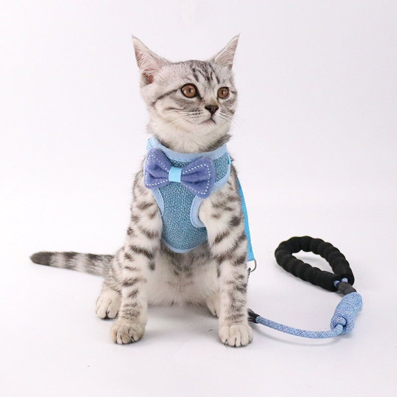 Pet Chest And Back Support Harness Leash System