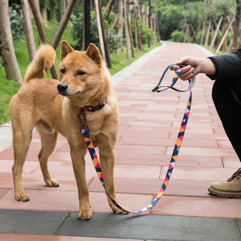 Pet Supplies Durable Adjustable Pet Leash Lead System