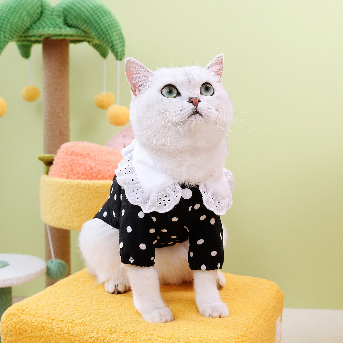 Blue Pet Casual T Shirt Clothing Top