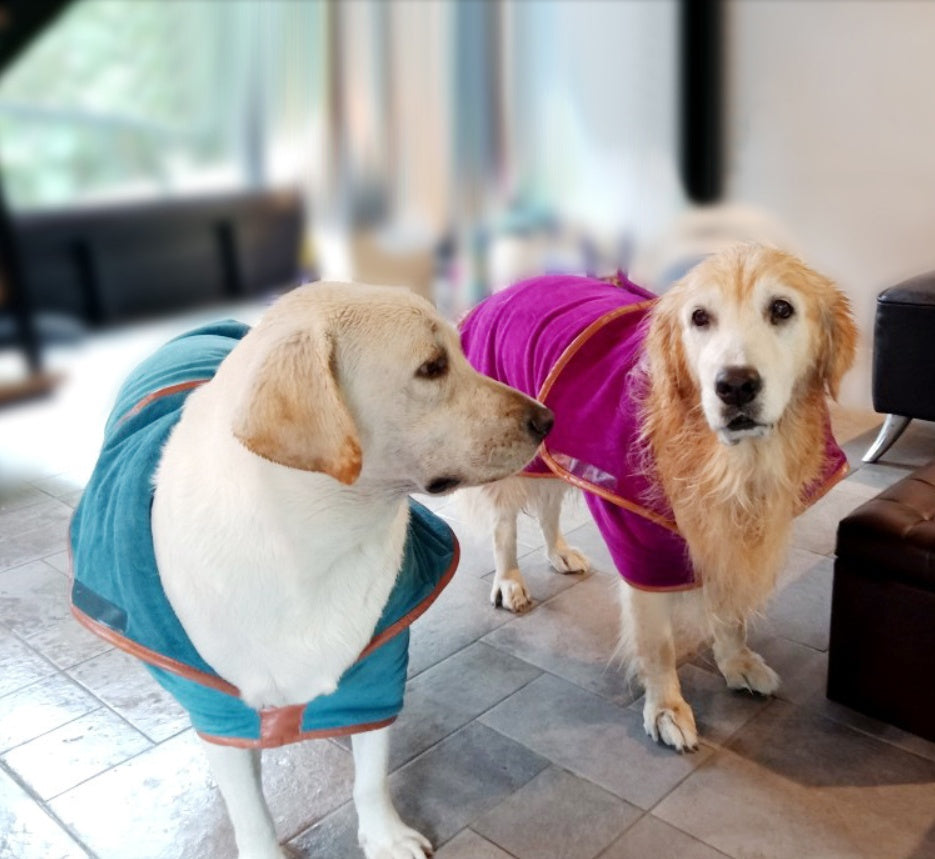 Quick Dry Absorbent Bath Towel Pet Clothing