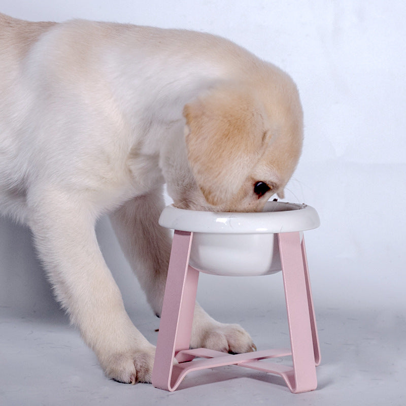Anti Slip Iron Stand Double Bowl Pet Feeder