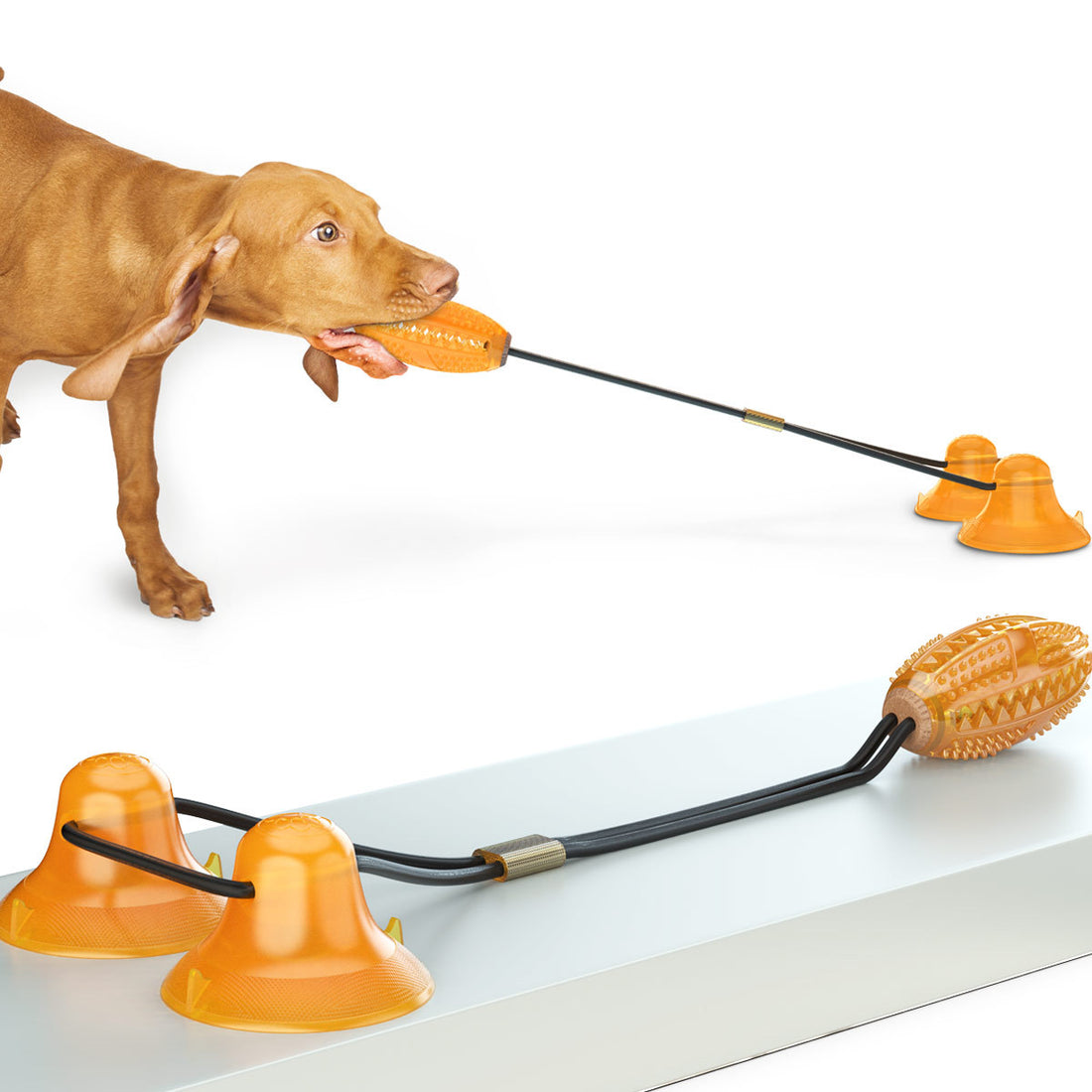 Double Tug Rope Ball Suction Molar Bite Interactive Pet Toy