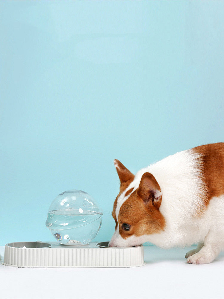 Automatic Plastic Drinking Feeder Pet Bowl