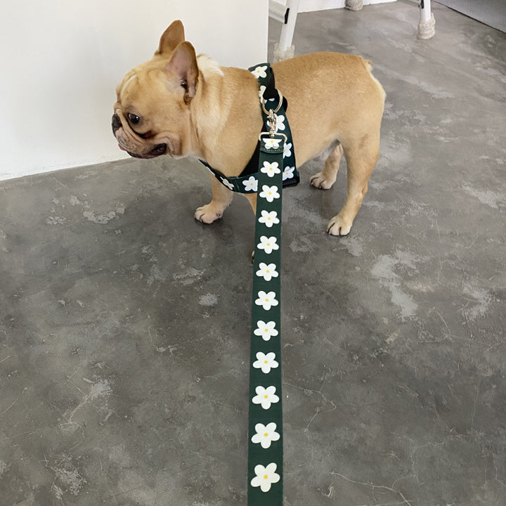 Pet Vest Style Adjustable Leash Harness