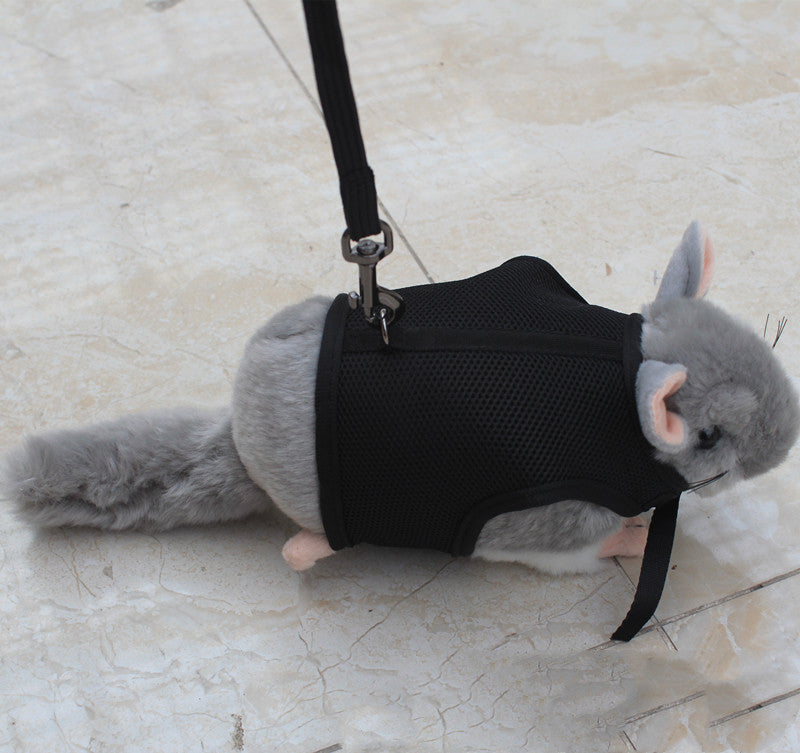 Adjustable Small Pet Leash Control Rope Lead
