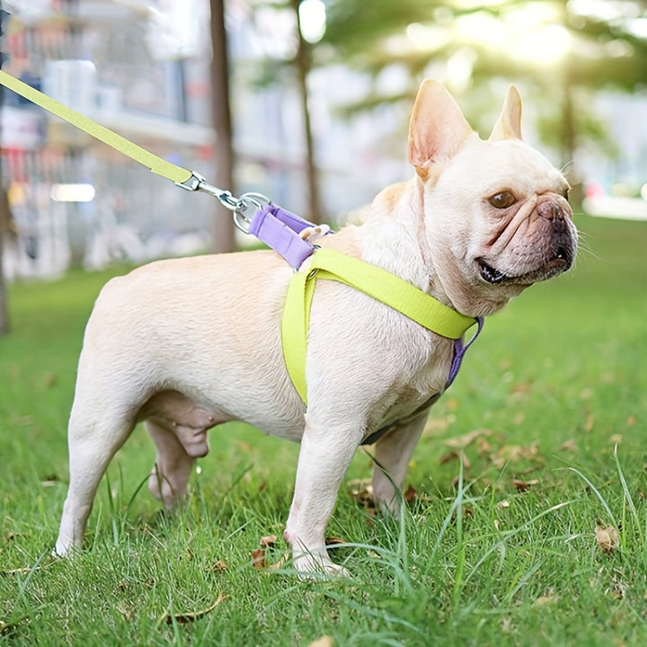 Pet Rainbow Colorblock Anti Escape Vest Harness Set