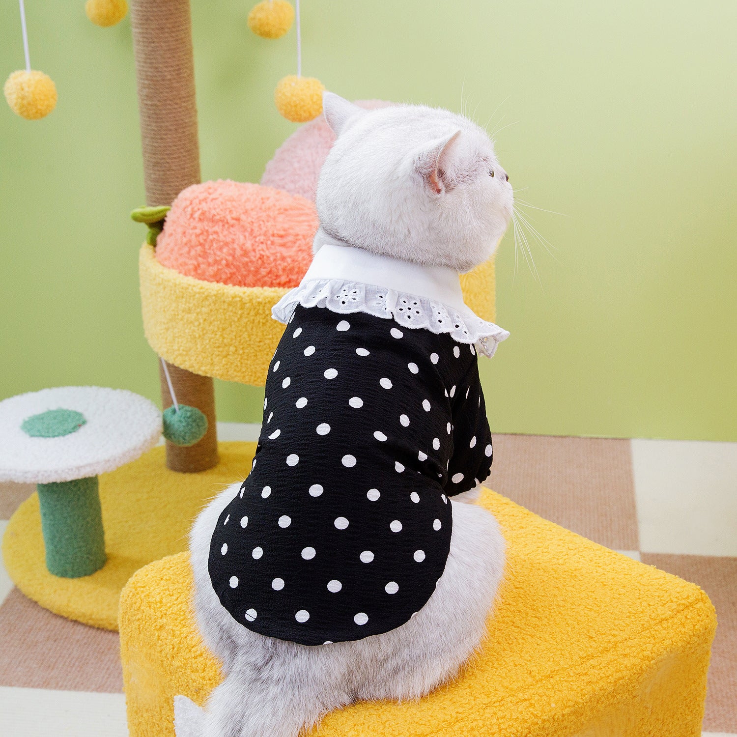 Blue Pet Casual T Shirt Clothing Top