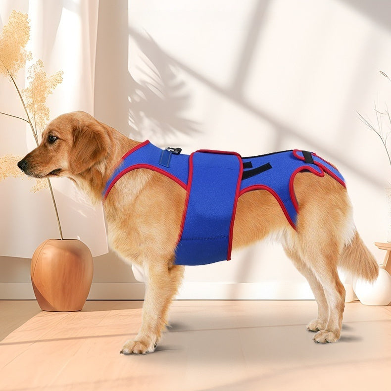 Pet Spine Support Jacket Posture Correction Vest