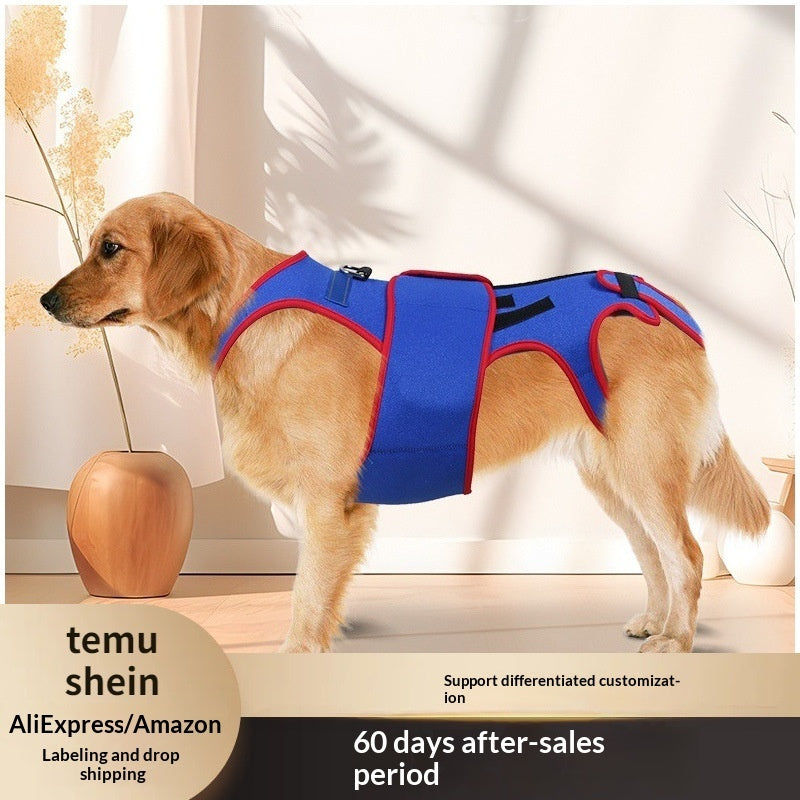 Pet Spine Support Jacket Posture Correction Vest