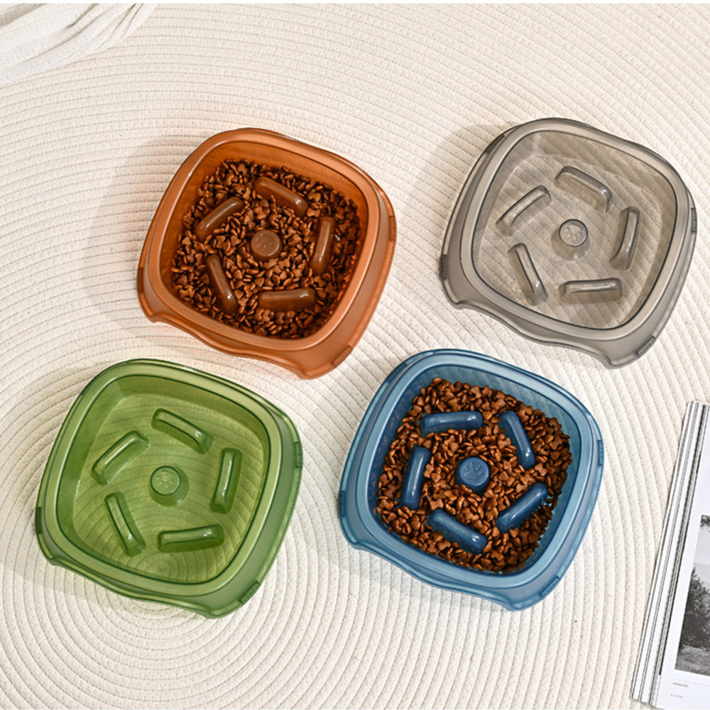 Anti Choking Slow Feeding Water Bowl Pet Dish