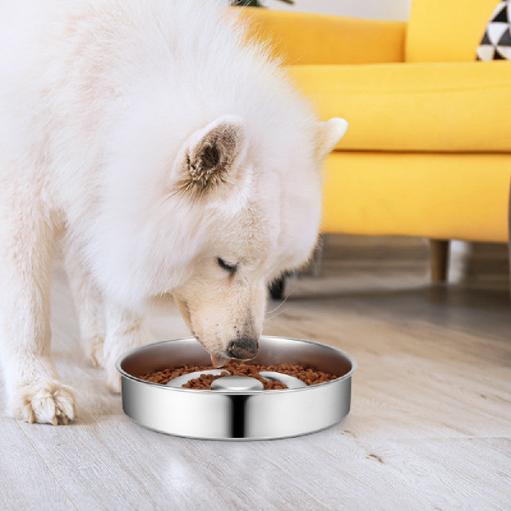 Pet Stainless Steel Slow Feeding Bowl Neck Protector Design
