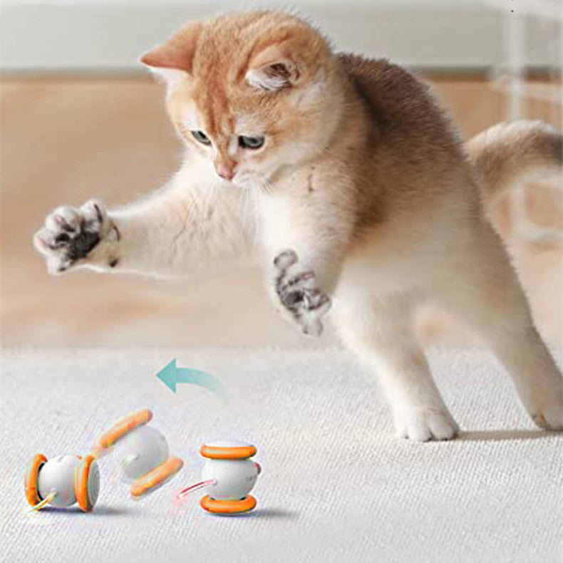 Electric Intelligent Teasing Charging Interactive Pet Toy
