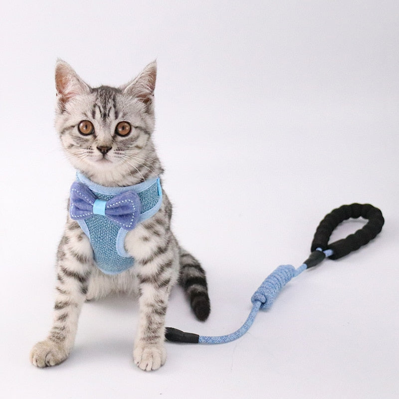 Pet Chest And Back Support Harness Leash System