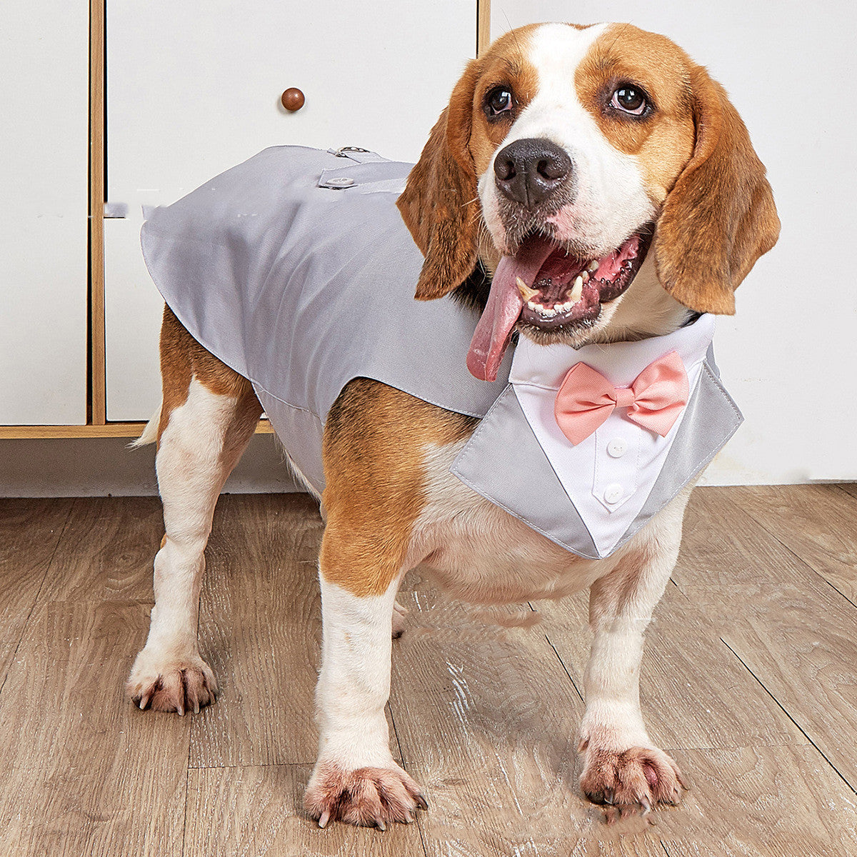 Swallowtail Wedding Suit Jacket Pet Apparel
