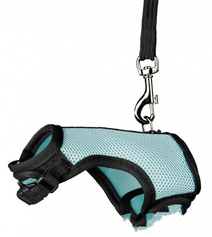 Adjustable Small Pet Leash Control Rope Lead