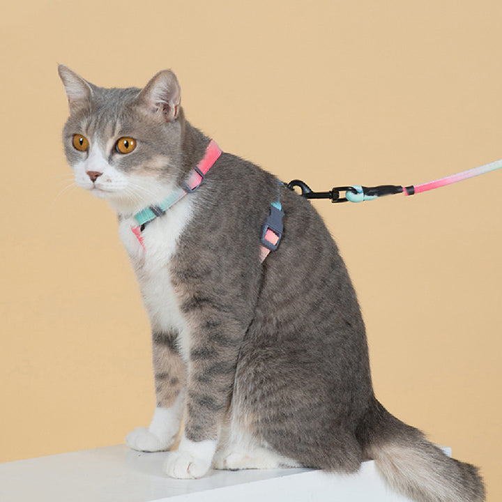 Pet Fashion Anti Escape Leash Harness