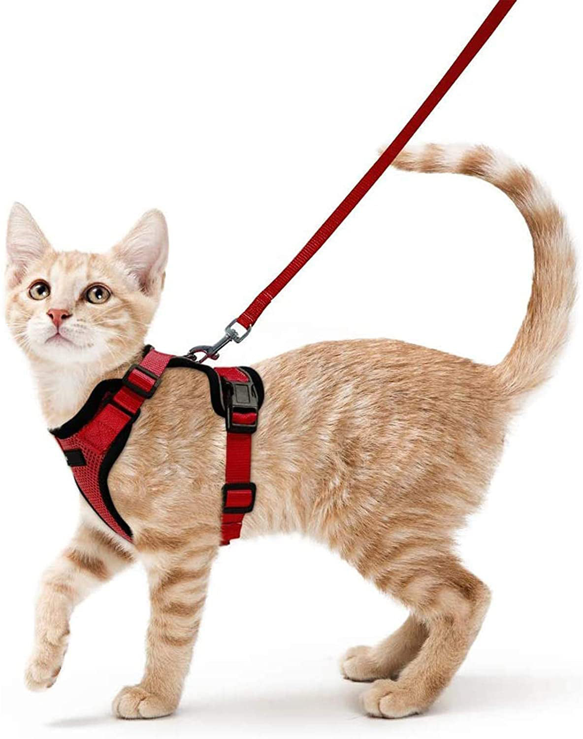 Pet Adjustable Vest Type Breakaway Leash Harness
