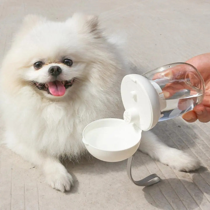 Portable Travel Water Bottle Feeding Bowl Pet Cup
