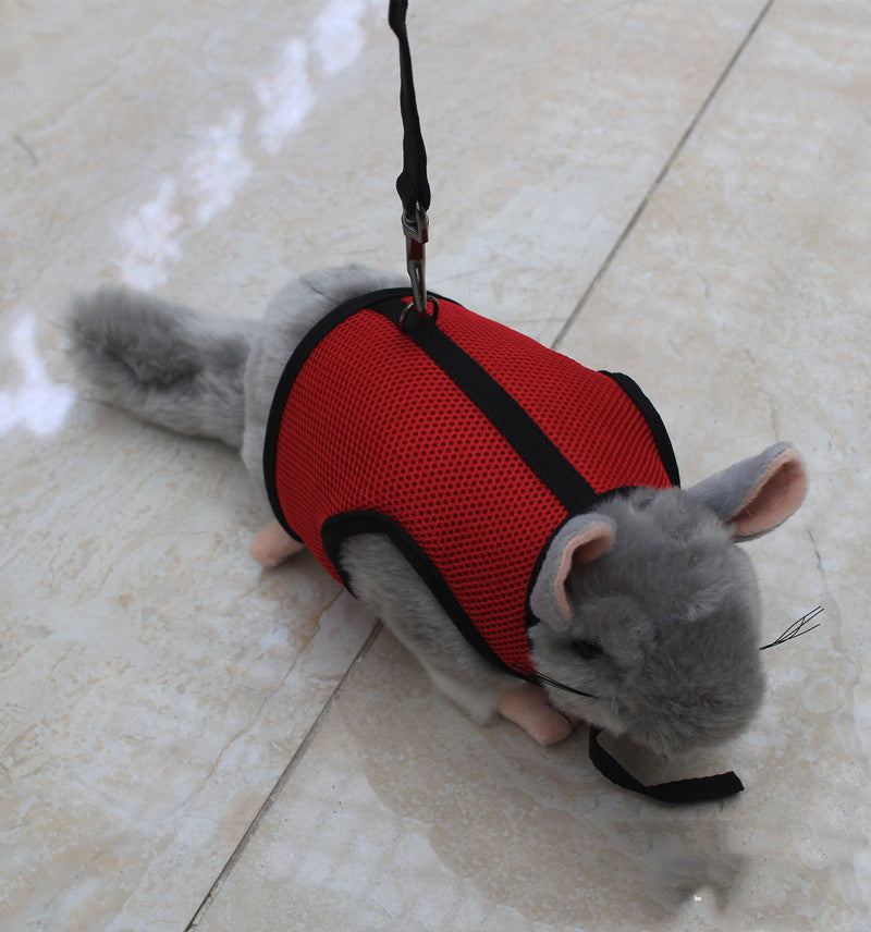 Adjustable Small Pet Leash Control Rope Lead