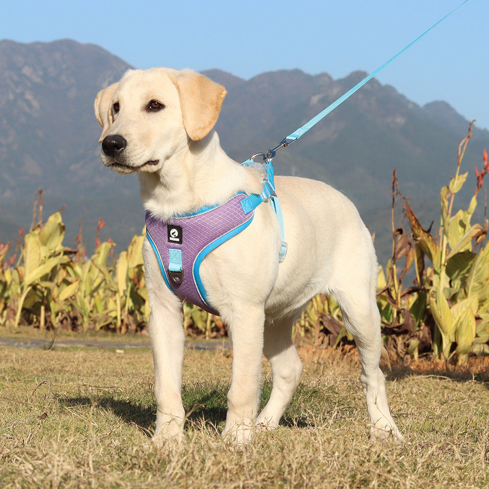 Pet Breathable Adjustable Harness And Leash