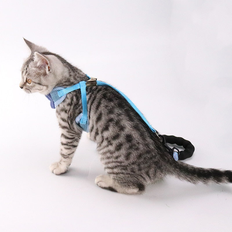 Pet Chest And Back Support Harness Leash System