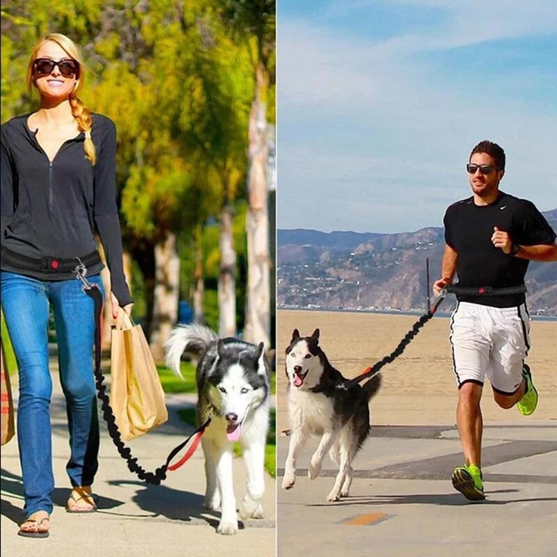 Adjustable Pet Harness Collar Jogging Control Leash Lead