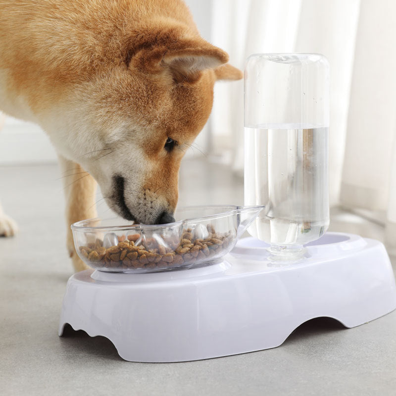 Transparent Plastic Feeding Drinking Pet Bowl