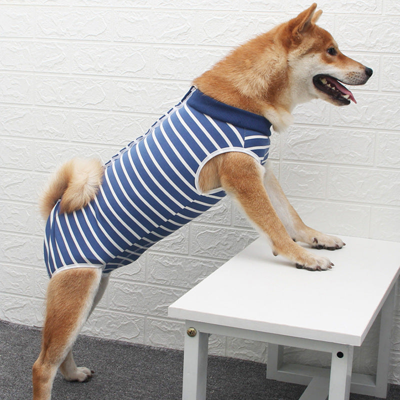 Multi Color Fashion Personality Pet Apparel