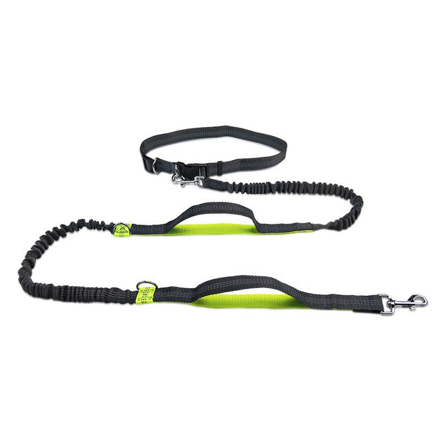 Adjustable Pet Harness Collar Jogging Control Leash Lead