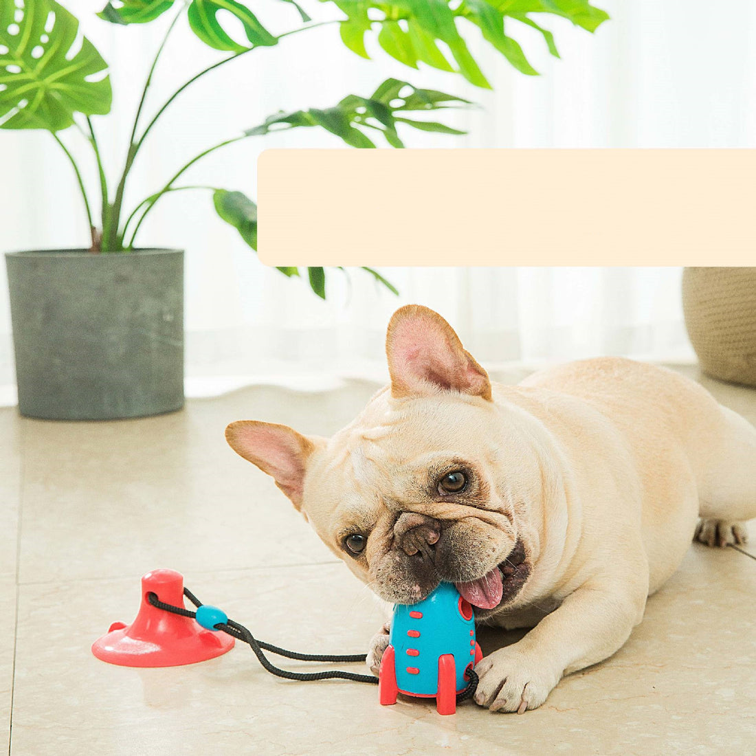 Rocket Food Dispensing Bite Resistant Interactive Pet Toy