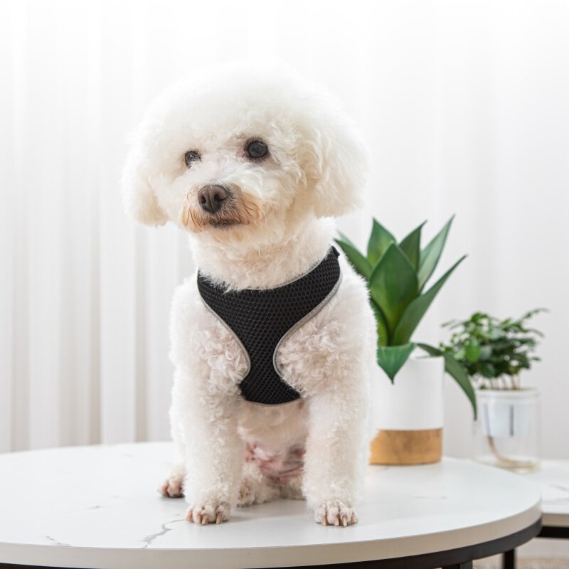Vest Style Pet Walking Harness With Leash Control System