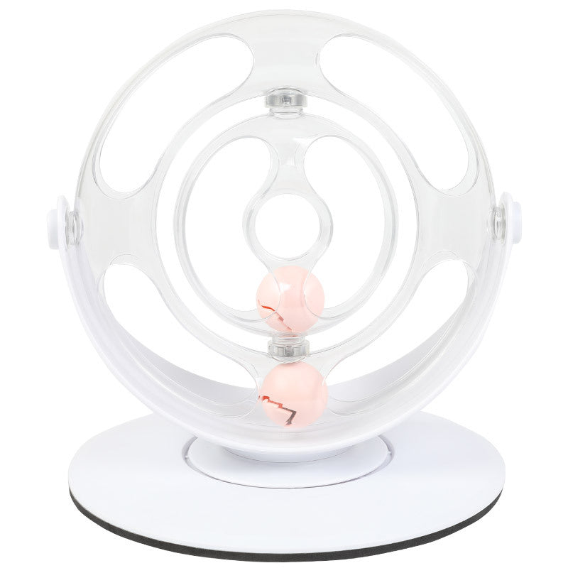 Educational Turntable Interactive Pet Toy